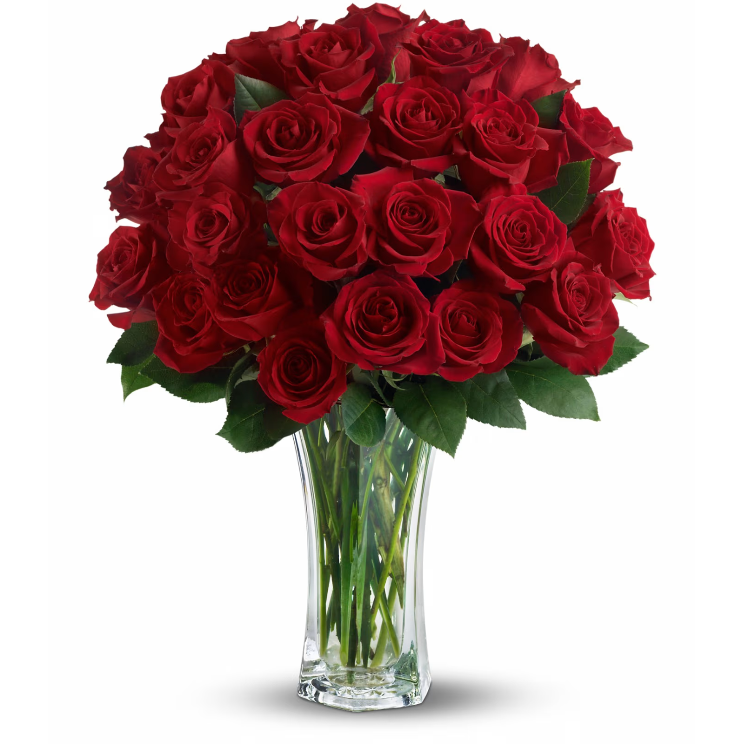 Love and Devotion - Long Stemmed Red Roses
